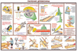 ПС09 Безопасность труда при деревообработке (бумага, А2, 5 листов) - Плакаты - Безопасность труда - магазин "Охрана труда и Техника безопасности"