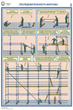 ПС26 Строительные леса (конструкции, монтаж, проверка на безопасность) (ламинированная бумага, А2, 3 листа) - Плакаты - Строительство - магазин "Охрана труда и Техника безопасности"